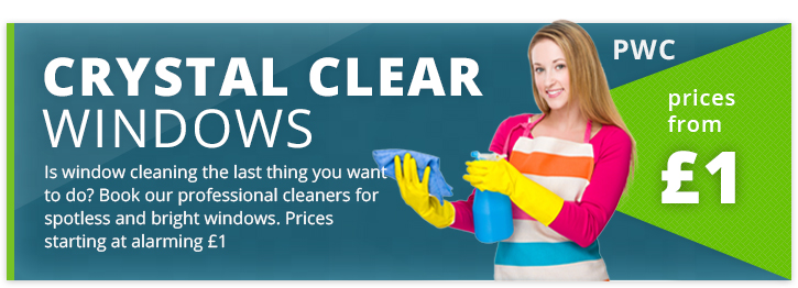 Professional Window Cleaning at the Lowest Prices