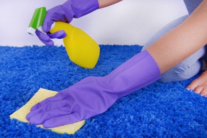 carpet cleaning