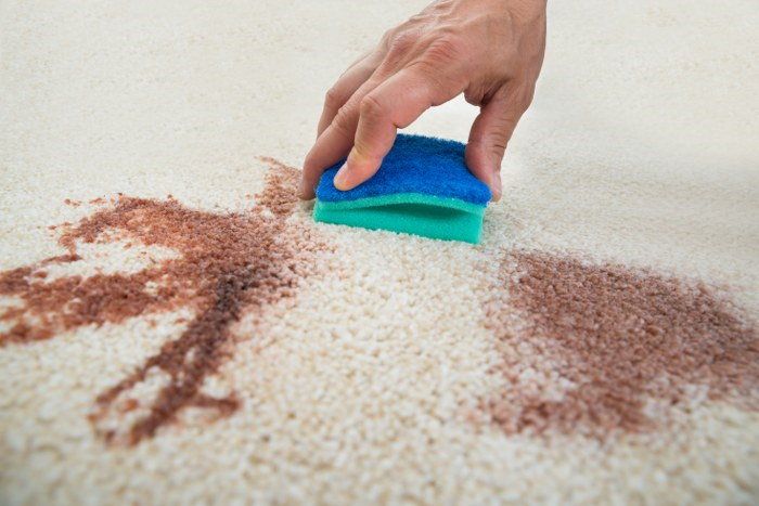 carpet cleaning