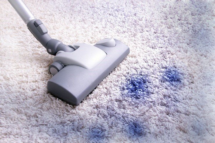 carpet cleaning