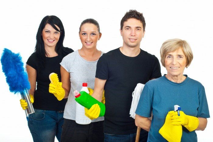 domestic cleaners