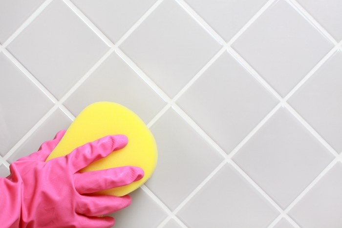 grout cleaning