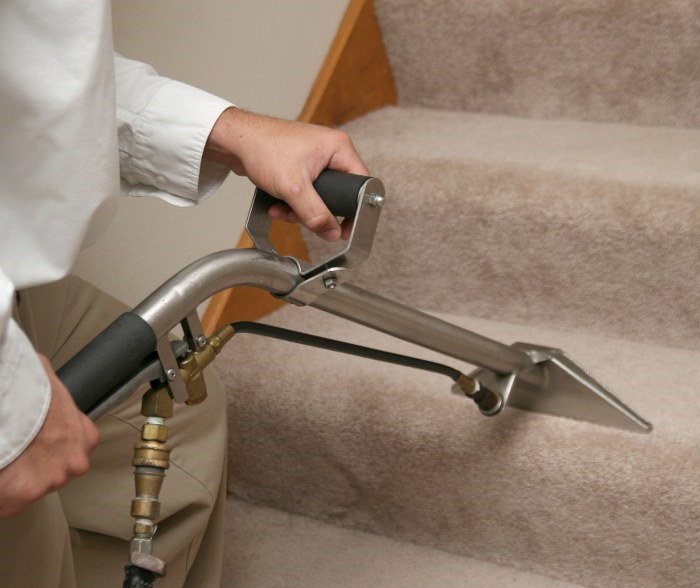 carpet cleaning