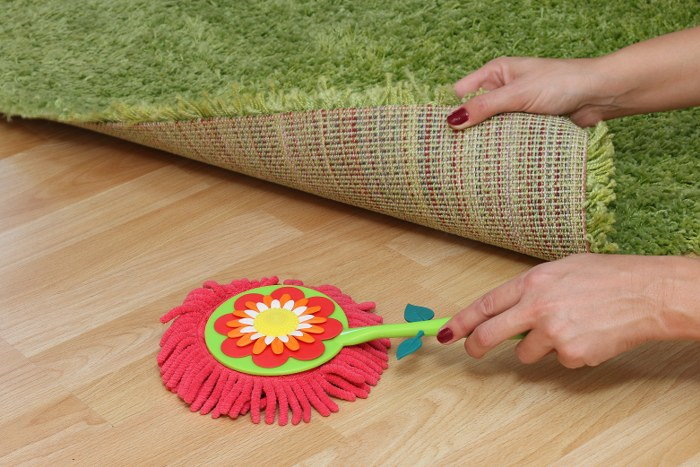 carpet cleaning