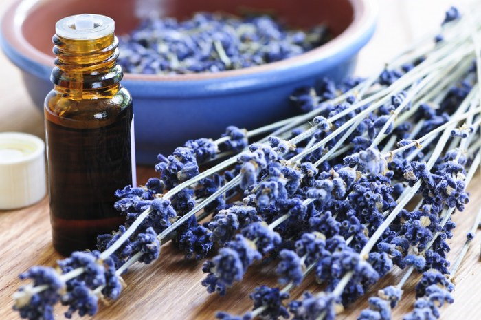 house cleaning with lavender oil