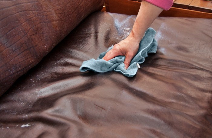 sofa cleaning