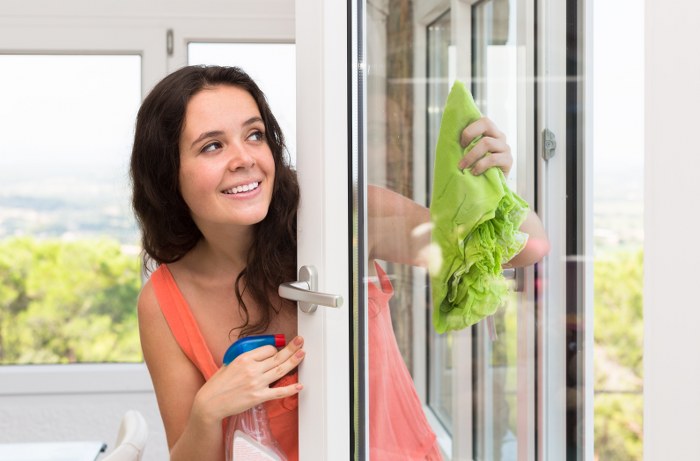 window cleaning