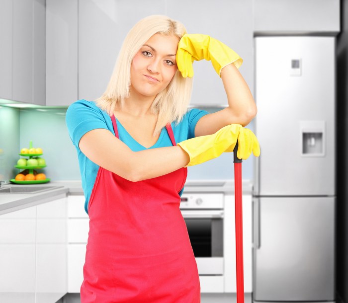 house cleaners