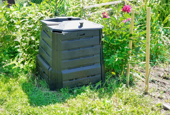 garden clearance