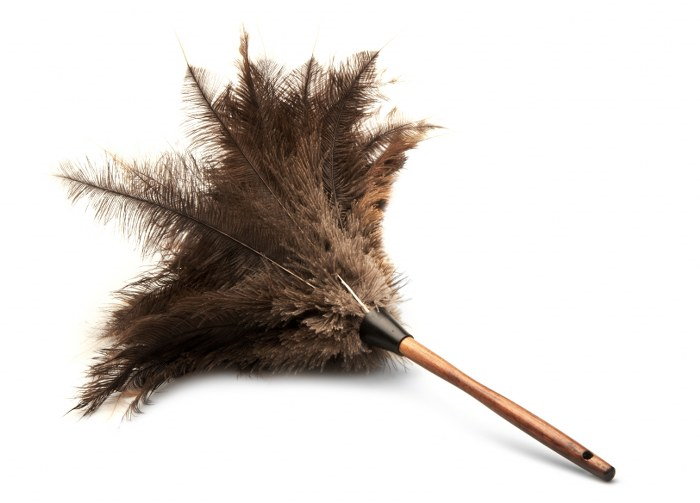 feather duster