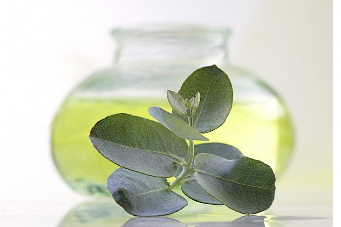 home cleaning with eucalyptus oil