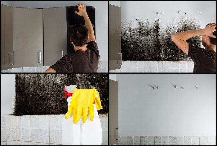 mould removal