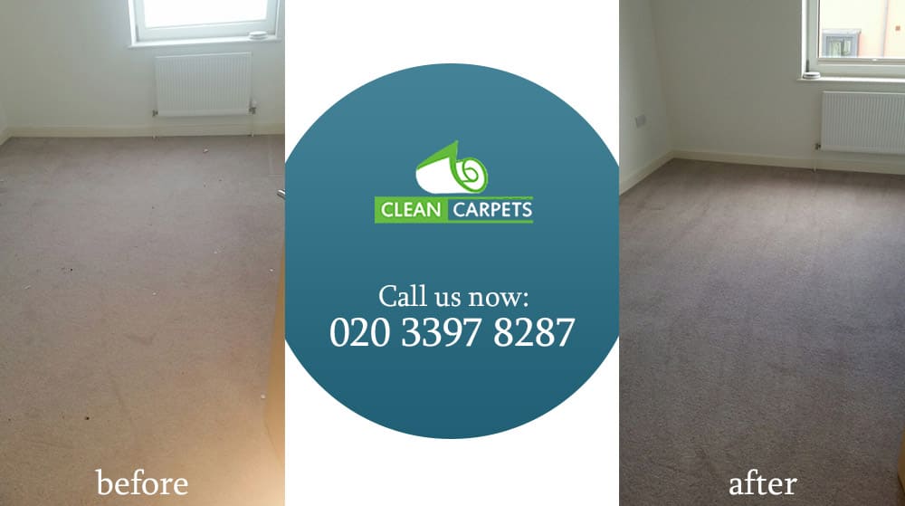 W9 carpet cleaning Warwick Avenue