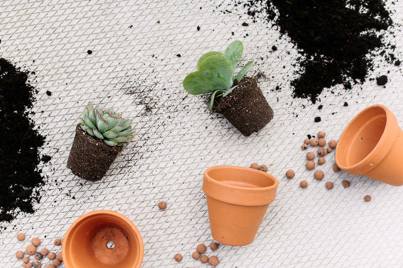 Eco-friendly green cleaning