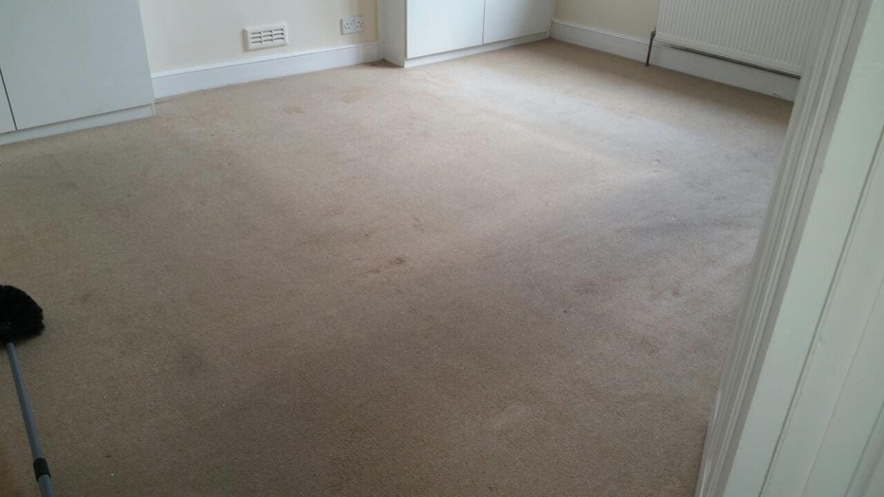 cleaning a carpet stain Woodside