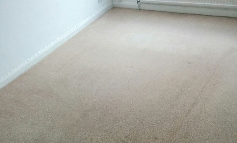 cleaning a carpet stain Mitcham