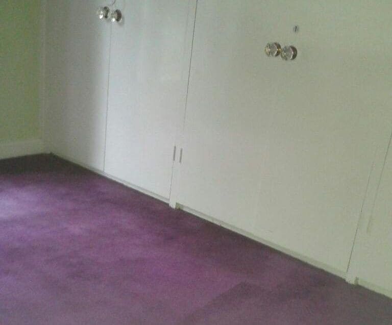 carpet washer E1