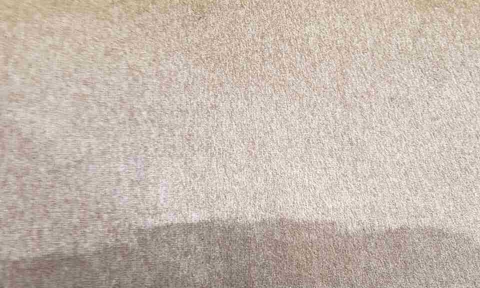 cleaning a carpet stain Effingham