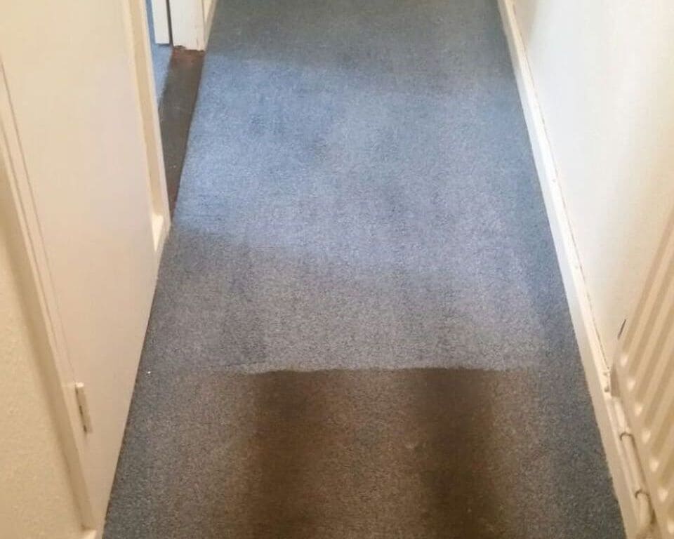 cleaning a carpet stain Hitchin