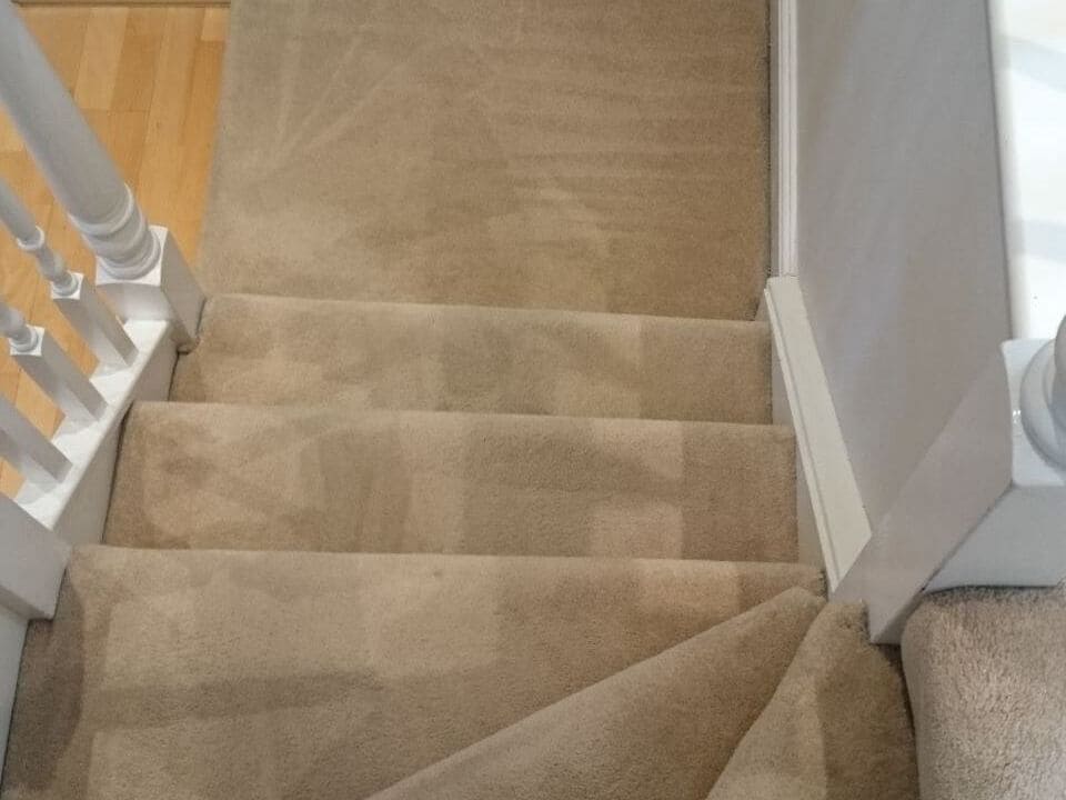 Chelsea fabric cleaning SW10