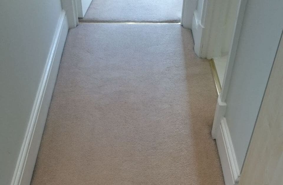 clean a carpet Balham 