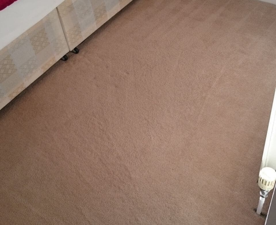 clean a carpet Osidge 