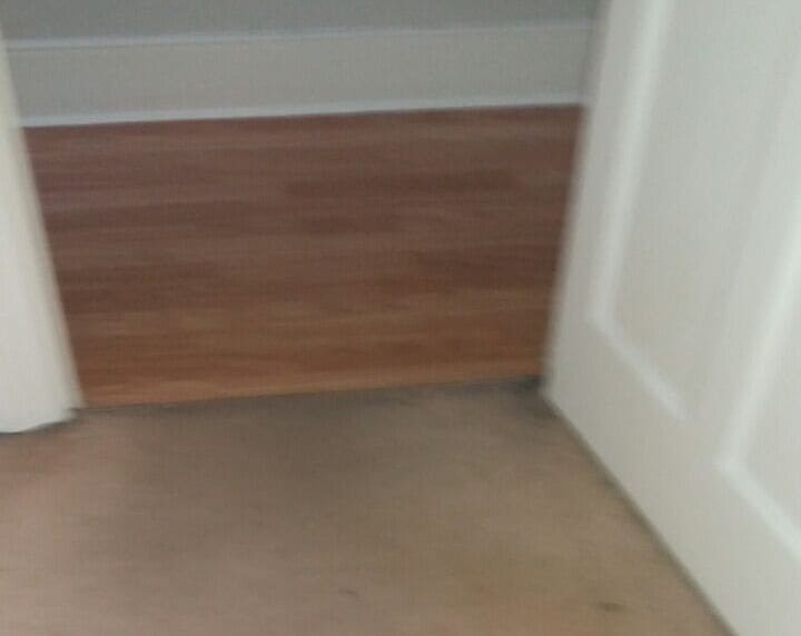 clean a carpet Purley 