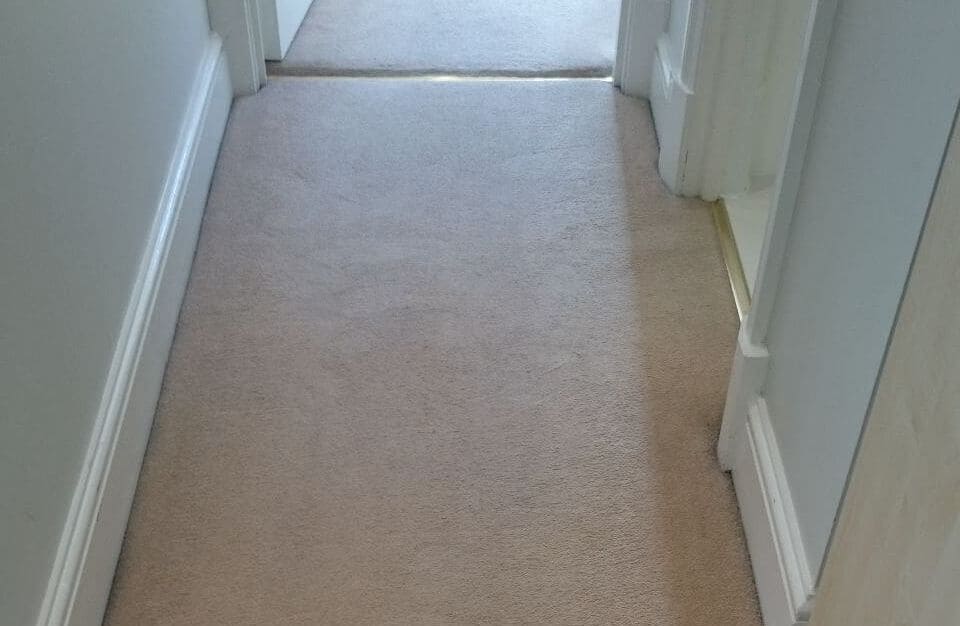 clean a carpet West Ealing