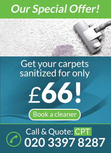 Sofa and Upholstery Cleaning Specials in Waddon